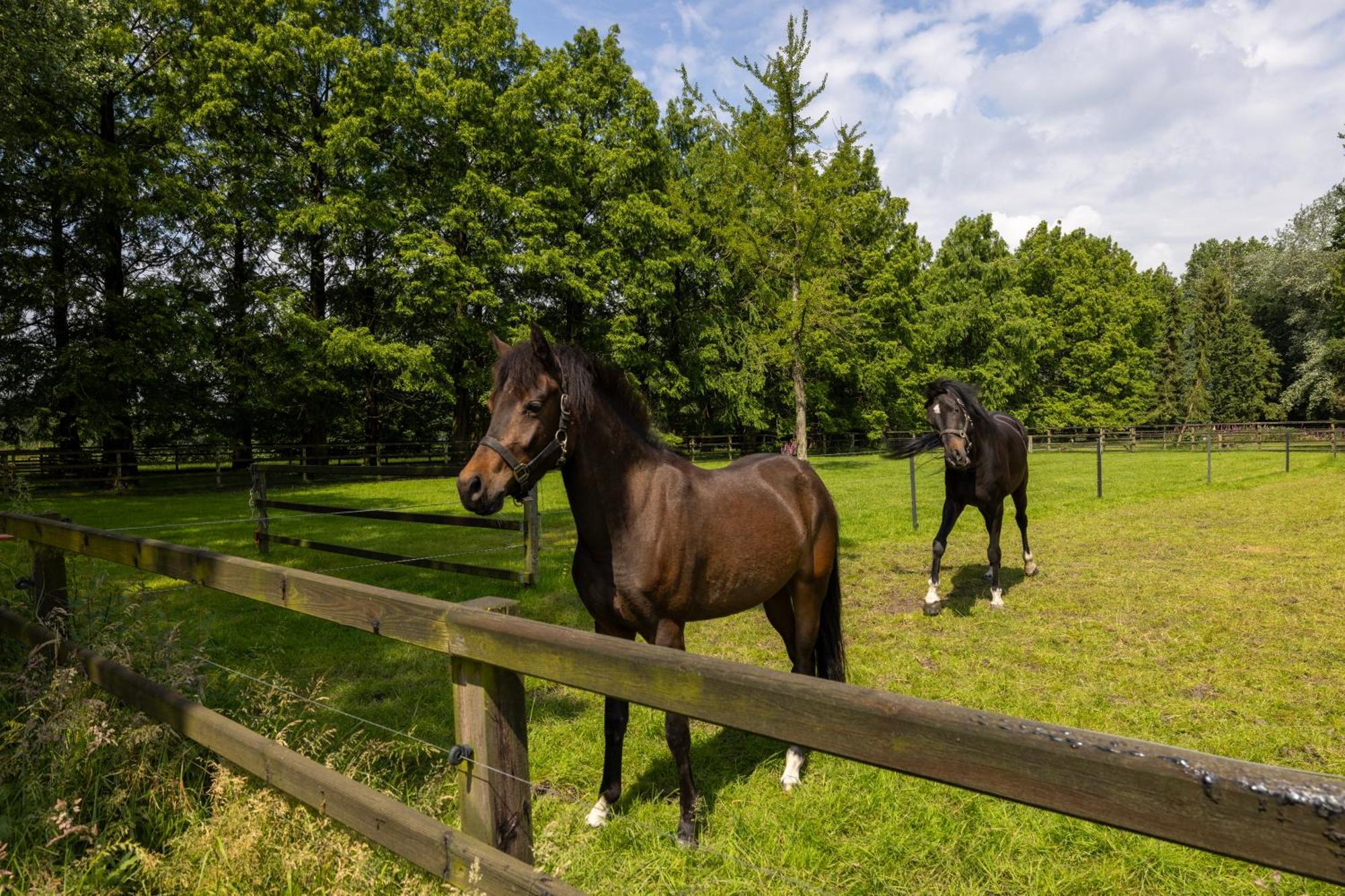 Luxe Hofstede Met Paardenstalling Lunteren Buitenkant foto