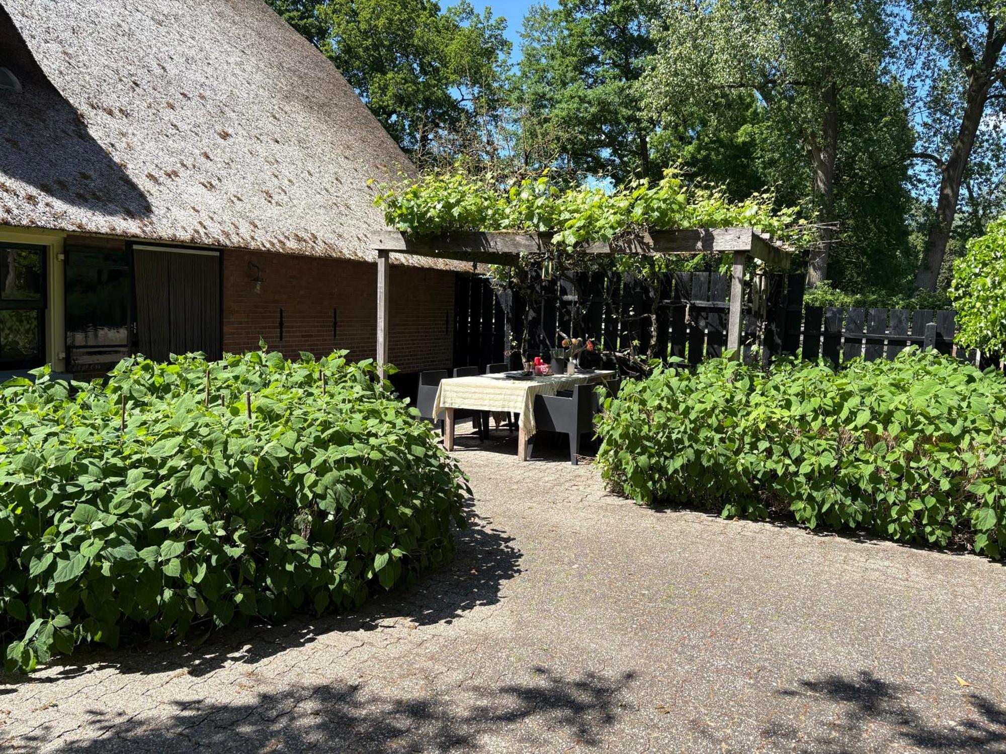 Luxe Hofstede Met Paardenstalling Lunteren Buitenkant foto